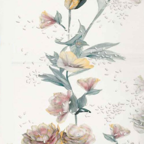 Постельное белье Blumarine LIALA 07 honey фото 3