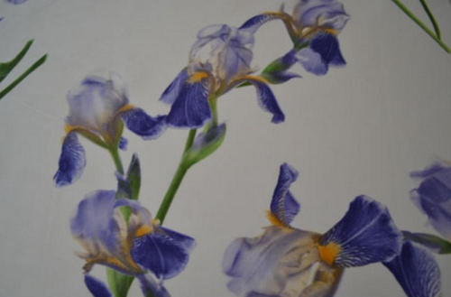 Постельное белье Sygnori PANTELLERIA 002 lilac бело-синее 300 ТС фото 2